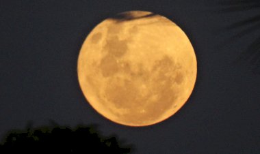 Lua das Flores: Última Microlua de 2025