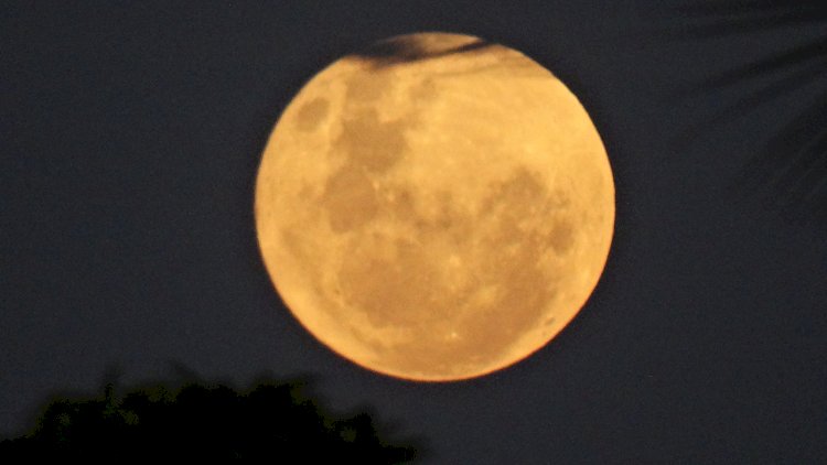 Lua das Flores: Última Microlua de 2025